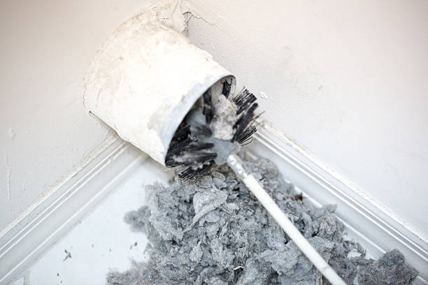 Best Professional Duct Cleaning Services  in Tabor City, NC